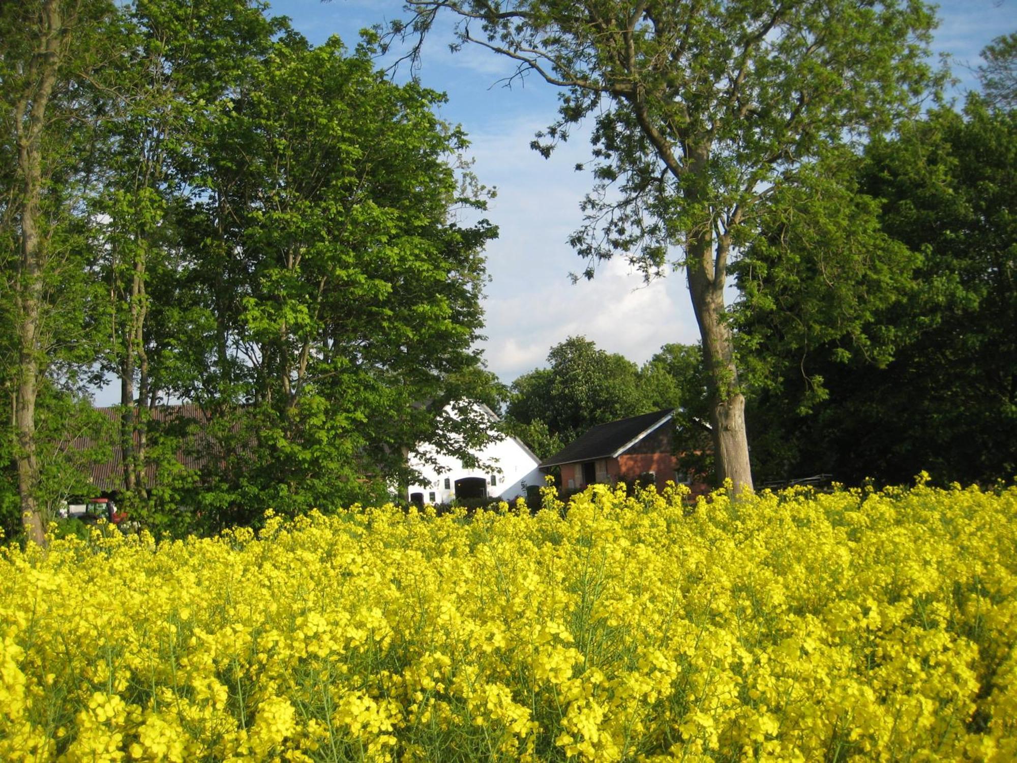 Cappeler NiederstrichWrede-Hofアパートメント エクステリア 写真