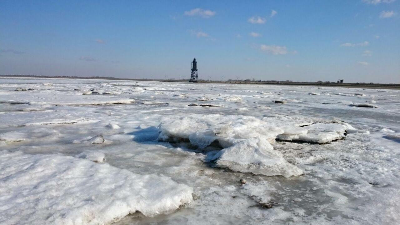 Cappeler NiederstrichWrede-Hofアパートメント エクステリア 写真